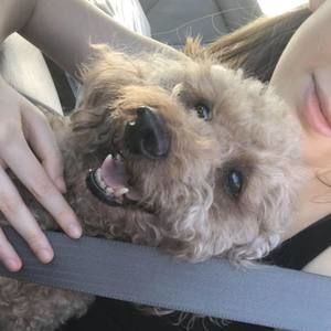 Meet your Posher, Selena